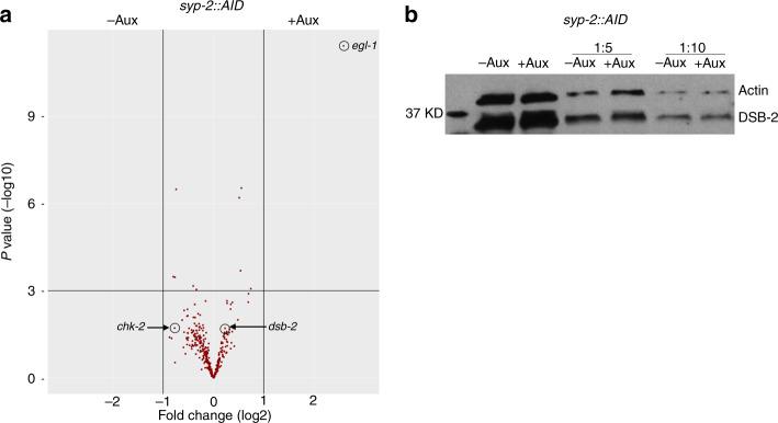 https://cdn.ncbi.nlm.nih.gov/pmc/blobs/0104/7455720/409546137e4a/41467_2020_18219_Fig6_HTML.jpg