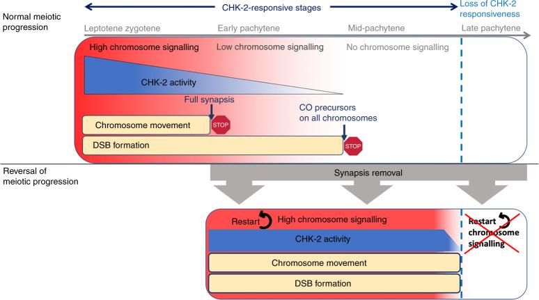 https://cdn.ncbi.nlm.nih.gov/pmc/blobs/0104/7455720/900be654abc7/41467_2020_18219_Fig8_HTML.jpg