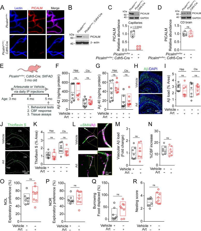 https://cdn.ncbi.nlm.nih.gov/pmc/blobs/0104/9883925/4cb31dcd30ab/13024_2023_597_Fig4_HTML.jpg