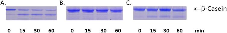 https://cdn.ncbi.nlm.nih.gov/pmc/blobs/0106/5067860/4911a71327c8/gr1.jpg
