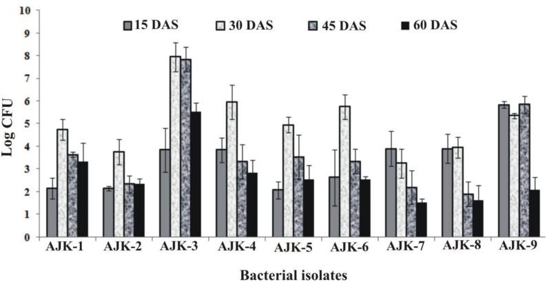 https://cdn.ncbi.nlm.nih.gov/pmc/blobs/0107/4362341/9a9ba60c1924/fmicb-06-00198-g002.jpg