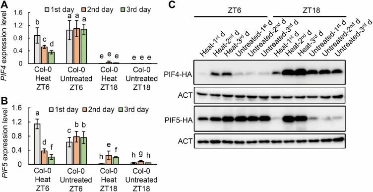 https://cdn.ncbi.nlm.nih.gov/pmc/blobs/0107/8446286/149d52ca2321/erab158f0006.jpg