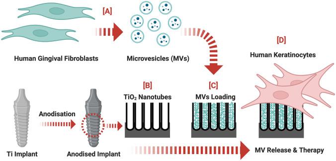 https://cdn.ncbi.nlm.nih.gov/pmc/blobs/0109/11499444/cf111dfa2a3b/13346_2023_1457_Fig1_HTML.jpg