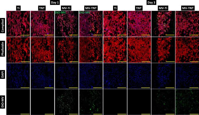 https://cdn.ncbi.nlm.nih.gov/pmc/blobs/0109/11499444/d289624856b5/13346_2023_1457_Fig5_HTML.jpg