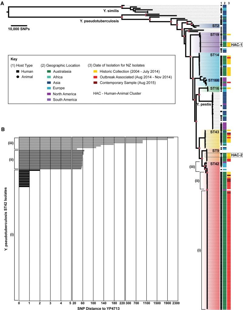 https://cdn.ncbi.nlm.nih.gov/pmc/blobs/0109/5521734/67bac4de856b/evw285f2p.jpg