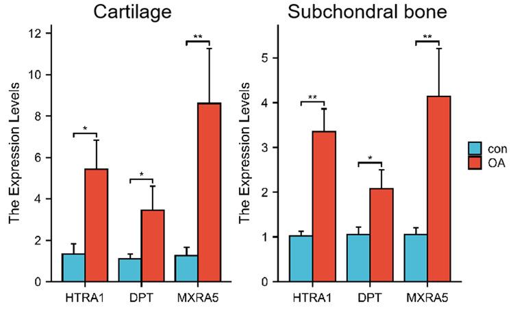 https://cdn.ncbi.nlm.nih.gov/pmc/blobs/010c/11325630/0c05f522d2c9/12891_2024_7758_Fig9_HTML.jpg
