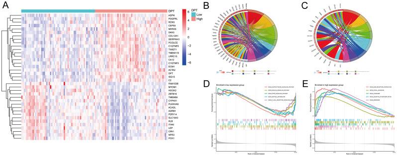 https://cdn.ncbi.nlm.nih.gov/pmc/blobs/010c/11325630/4c300659a78d/12891_2024_7758_Fig5_HTML.jpg