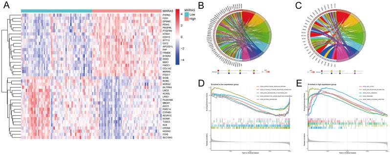 https://cdn.ncbi.nlm.nih.gov/pmc/blobs/010c/11325630/dda25e4a0929/12891_2024_7758_Fig6_HTML.jpg