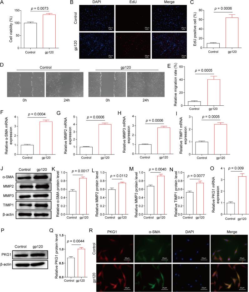 https://cdn.ncbi.nlm.nih.gov/pmc/blobs/010d/11525407/57b24f33dfc7/384_2024_4743_Fig2_HTML.jpg