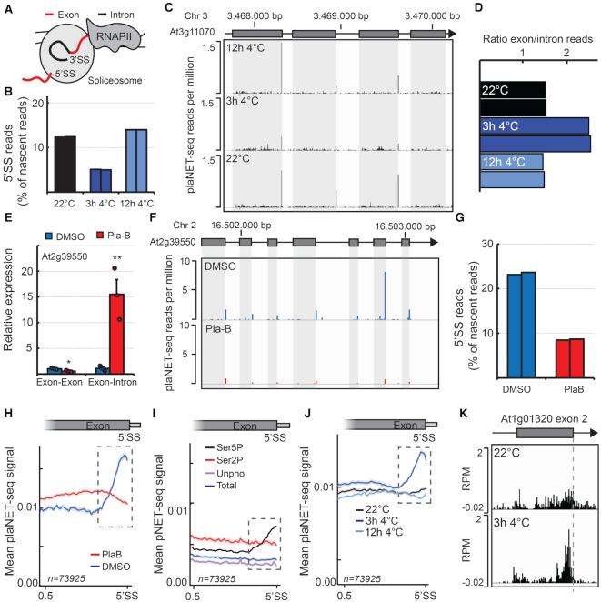 https://cdn.ncbi.nlm.nih.gov/pmc/blobs/010d/7049701/31209b07ecf5/gkz1189fig5.jpg