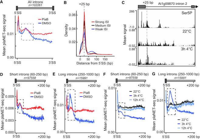https://cdn.ncbi.nlm.nih.gov/pmc/blobs/010d/7049701/415229a92d98/gkz1189fig6.jpg