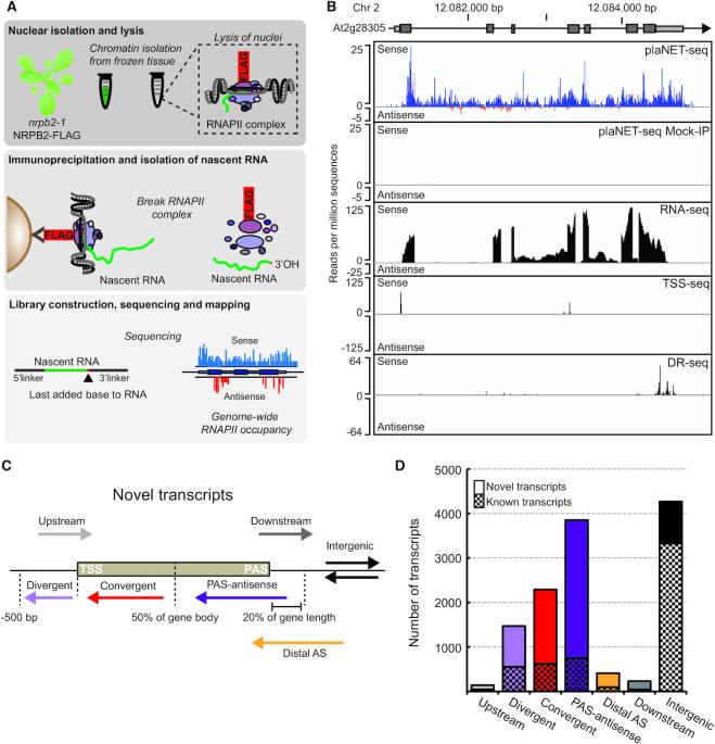 https://cdn.ncbi.nlm.nih.gov/pmc/blobs/010d/7049701/ad8f4e17d9ab/gkz1189fig1.jpg