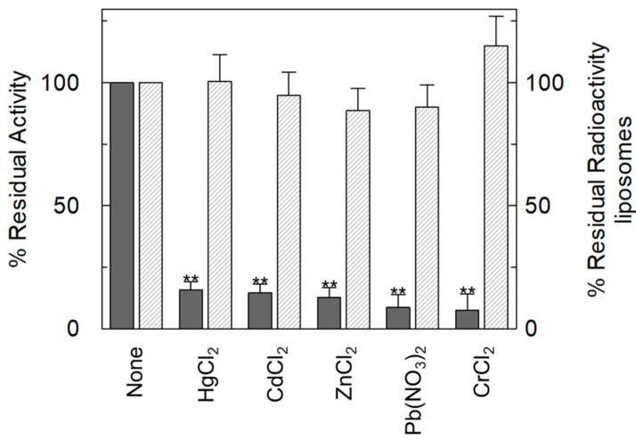 https://cdn.ncbi.nlm.nih.gov/pmc/blobs/010e/11642070/15aceaec6e04/ijms-25-13218-g002.jpg