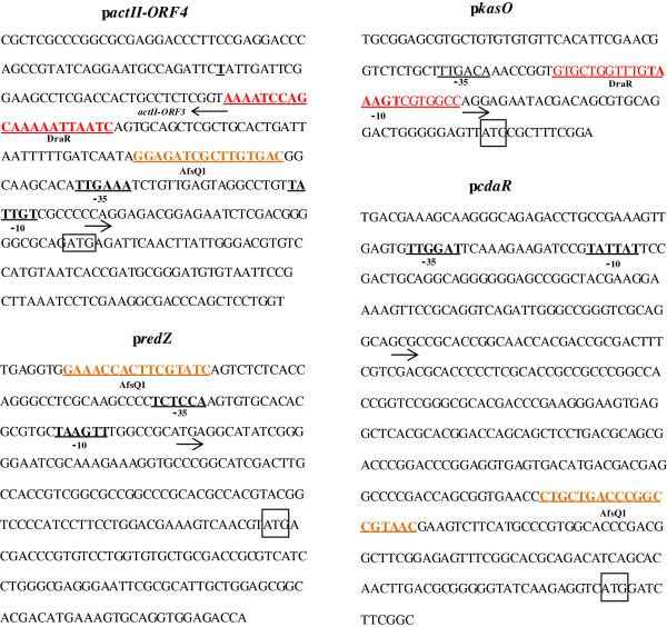 https://cdn.ncbi.nlm.nih.gov/pmc/blobs/010f/3881020/a61ac9958d99/1475-2859-12-127-1.jpg
