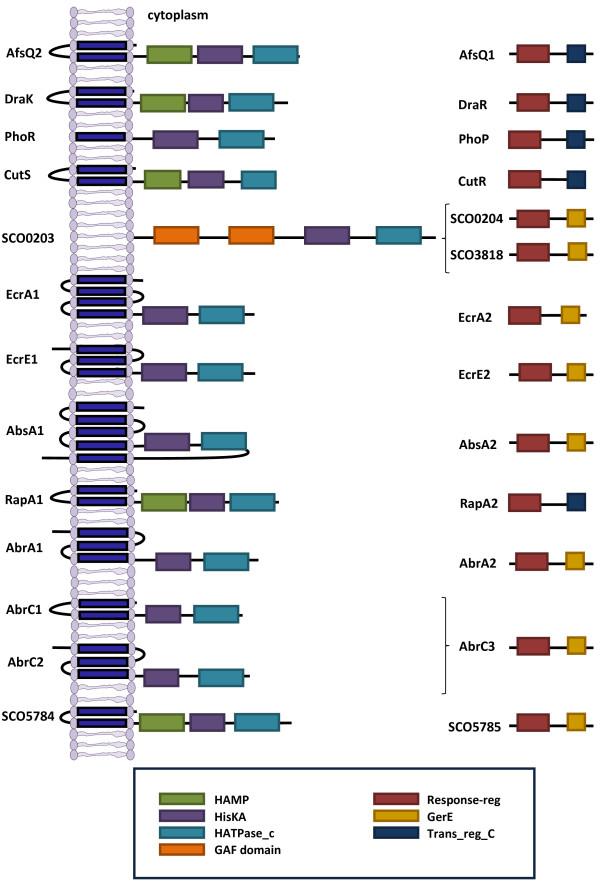https://cdn.ncbi.nlm.nih.gov/pmc/blobs/010f/3881020/b5b80040339b/1475-2859-12-127-3.jpg