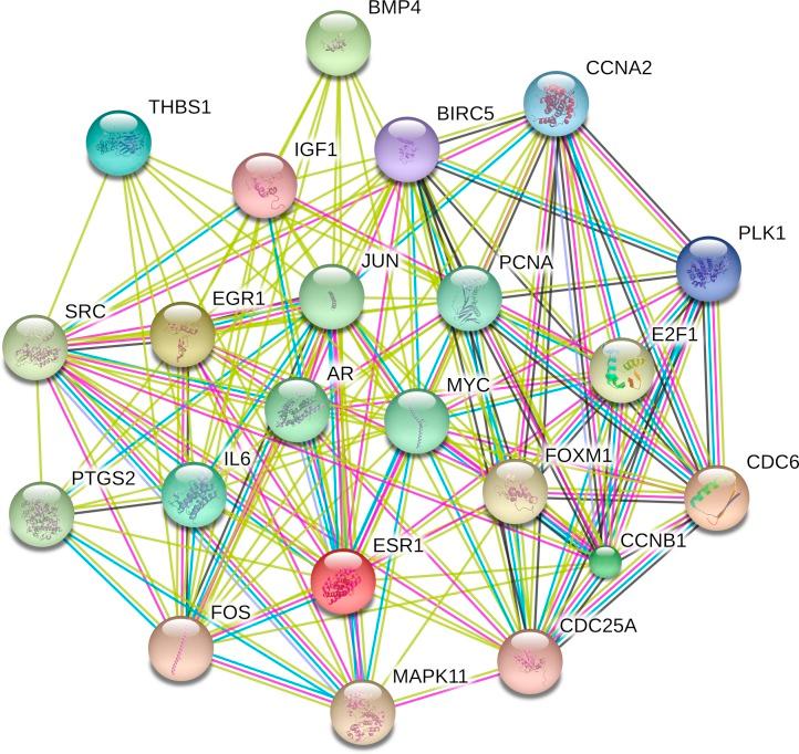 https://cdn.ncbi.nlm.nih.gov/pmc/blobs/010f/5354077/3e110ad6e98f/peerj-05-3089-g002.jpg