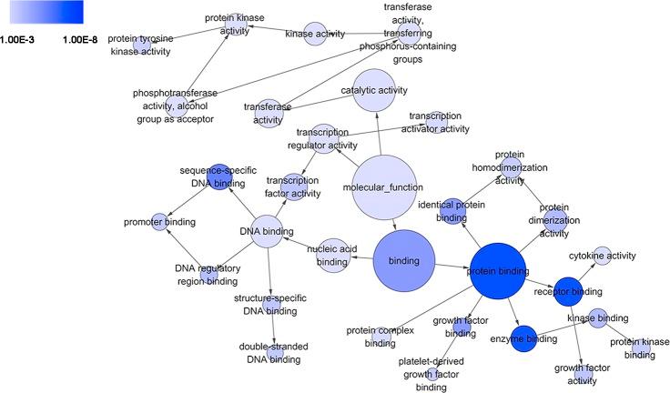 https://cdn.ncbi.nlm.nih.gov/pmc/blobs/010f/5354077/f5c2f0a997c1/peerj-05-3089-g005.jpg