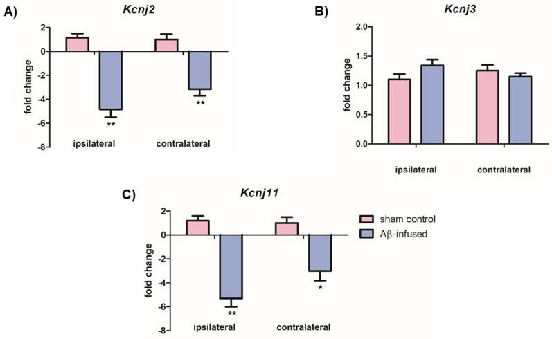 https://cdn.ncbi.nlm.nih.gov/pmc/blobs/010f/7148495/6f90d39191fb/biomedicines-08-00058-g003.jpg