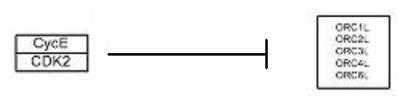 https://cdn.ncbi.nlm.nih.gov/pmc/blobs/0114/2944280/3e6c1585398a/1471-2105-11-449-8.jpg