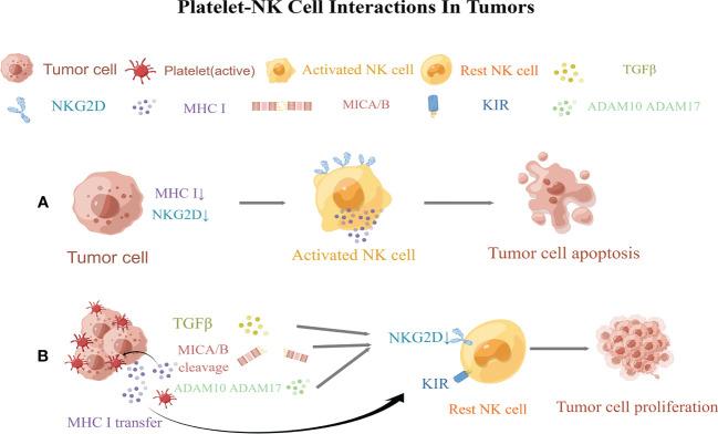 https://cdn.ncbi.nlm.nih.gov/pmc/blobs/0116/10158495/b02ca8379db3/fimmu-14-1165989-g002.jpg