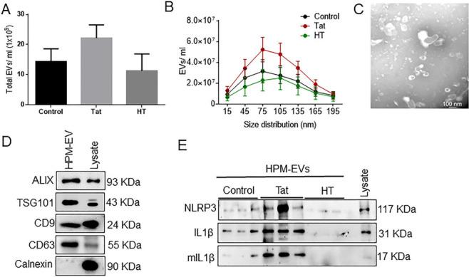 https://cdn.ncbi.nlm.nih.gov/pmc/blobs/0116/11648479/5a2c88600295/evcna-3-2-133.fig.2.jpg