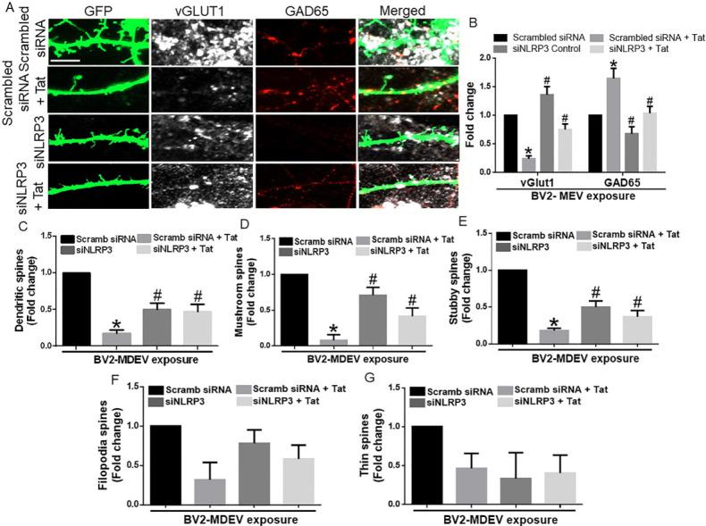 https://cdn.ncbi.nlm.nih.gov/pmc/blobs/0116/11648479/859ff2b185ea/evcna-3-2-133.fig.4.jpg
