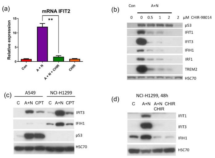 https://cdn.ncbi.nlm.nih.gov/pmc/blobs/0117/8538697/df02fa8f7a08/ijms-22-11072-g012.jpg