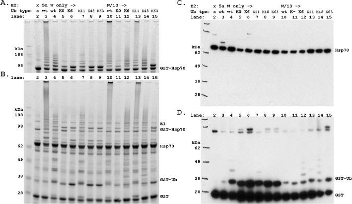 https://cdn.ncbi.nlm.nih.gov/pmc/blobs/011a/4444009/19d7068fc595/pone.0128240.g005.jpg