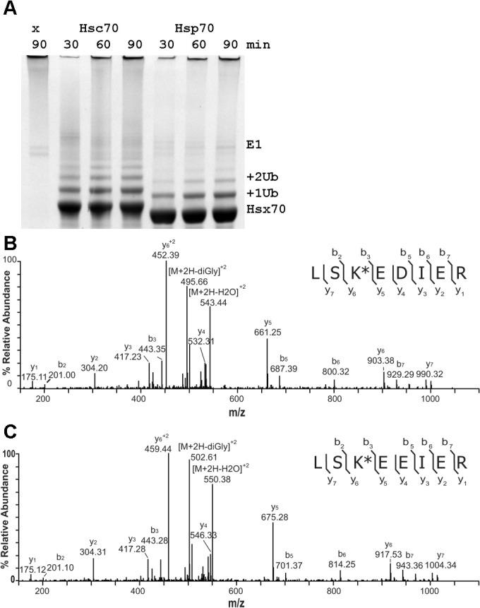 https://cdn.ncbi.nlm.nih.gov/pmc/blobs/011a/4444009/6cac5b963af4/pone.0128240.g001.jpg