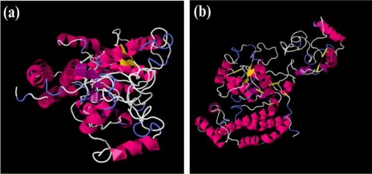 https://cdn.ncbi.nlm.nih.gov/pmc/blobs/011b/11612408/175a42c52df8/41598_2024_81736_Fig5_HTML.jpg