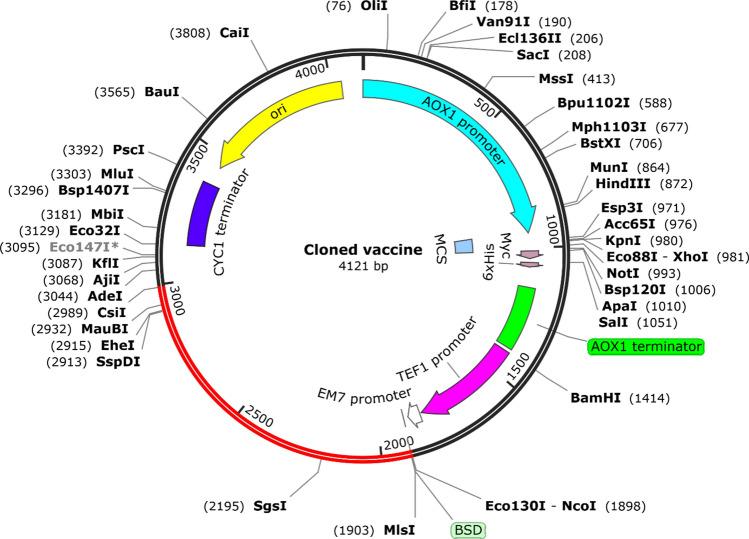 https://cdn.ncbi.nlm.nih.gov/pmc/blobs/011b/11612408/180eb895bcdf/41598_2024_81736_Fig9_HTML.jpg