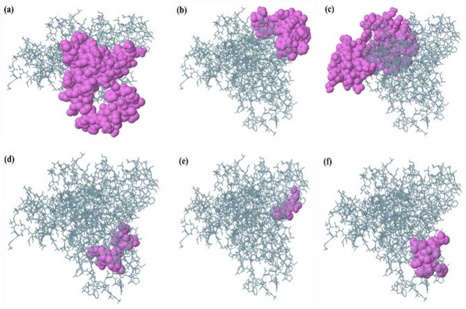 https://cdn.ncbi.nlm.nih.gov/pmc/blobs/011b/11612408/a1b5e78b0c55/41598_2024_81736_Fig6_HTML.jpg