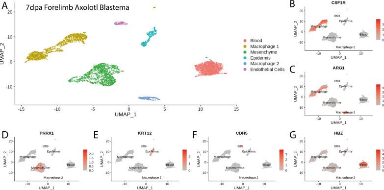 https://cdn.ncbi.nlm.nih.gov/pmc/blobs/011b/9154742/97c32a9f0f83/elife-79762-fig1-figsupp2.jpg