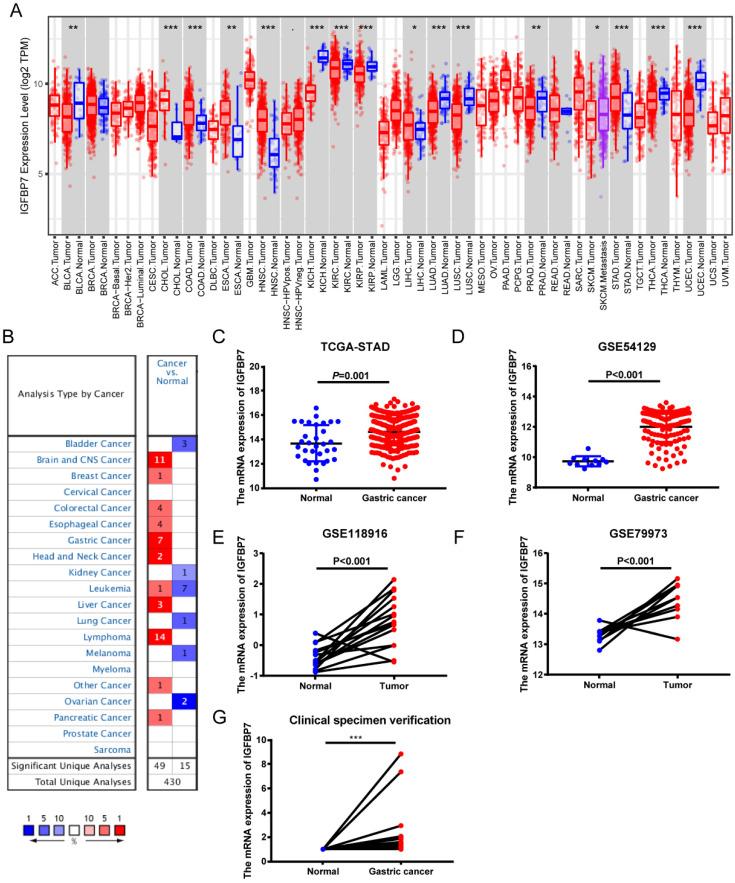 https://cdn.ncbi.nlm.nih.gov/pmc/blobs/011c/7847654/152bee25855c/jcav12p1343g001.jpg