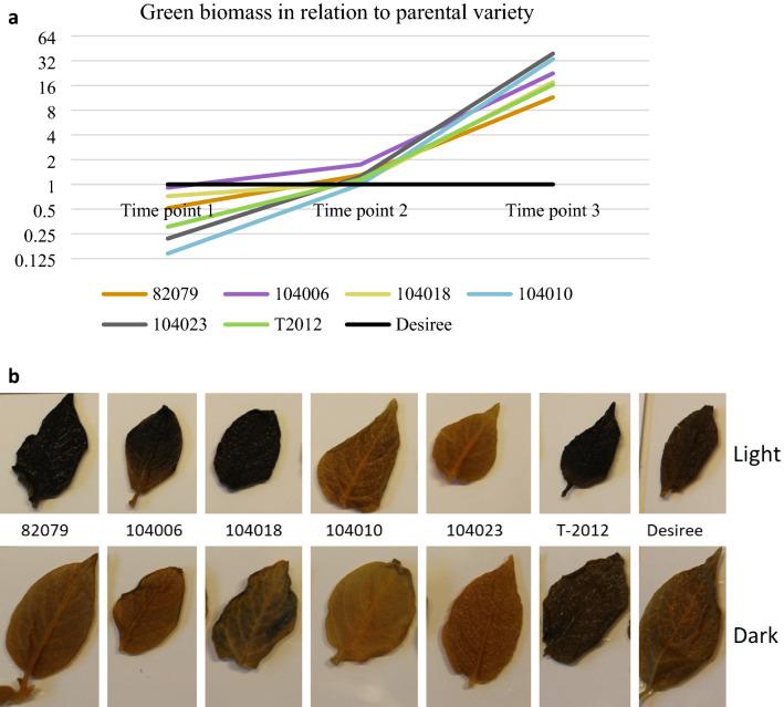 https://cdn.ncbi.nlm.nih.gov/pmc/blobs/011d/7900246/08870411e81d/41598_2021_83462_Fig7_HTML.jpg