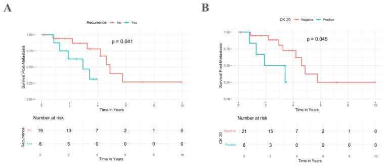 https://cdn.ncbi.nlm.nih.gov/pmc/blobs/0128/12153861/d7ce2e45528f/cancers-17-01739-g002.jpg