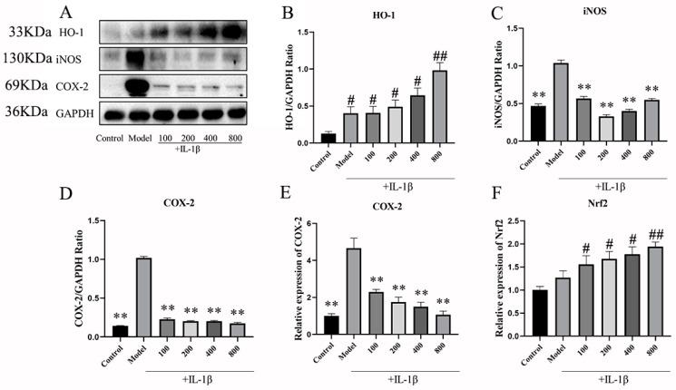 https://cdn.ncbi.nlm.nih.gov/pmc/blobs/012a/11172638/c509e3812767/ijms-25-06202-g007.jpg