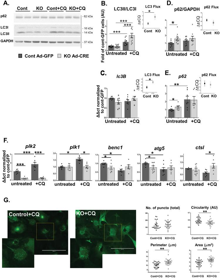 https://cdn.ncbi.nlm.nih.gov/pmc/blobs/012b/11213891/8df136c1739a/41598_2024_65670_Fig5_HTML.jpg
