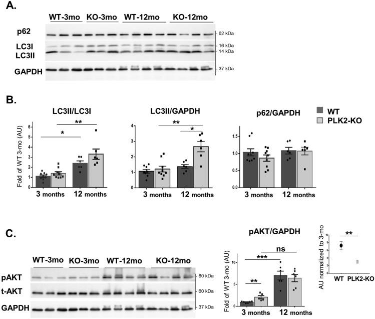 https://cdn.ncbi.nlm.nih.gov/pmc/blobs/012b/11213891/9dac0df1dccc/41598_2024_65670_Fig2_HTML.jpg