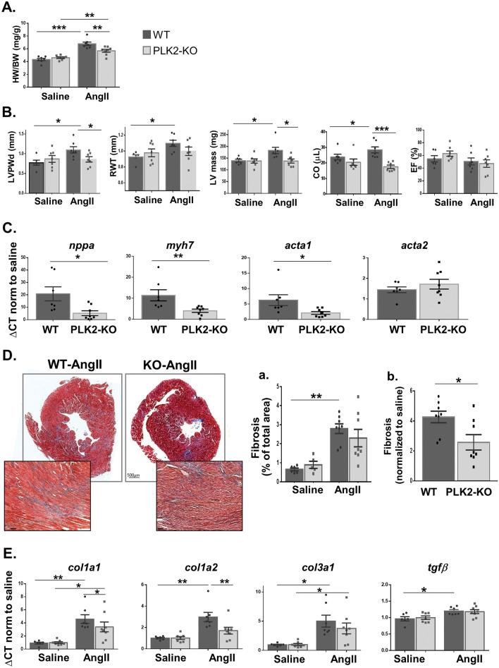 https://cdn.ncbi.nlm.nih.gov/pmc/blobs/012b/11213891/a69ec823a554/41598_2024_65670_Fig7_HTML.jpg