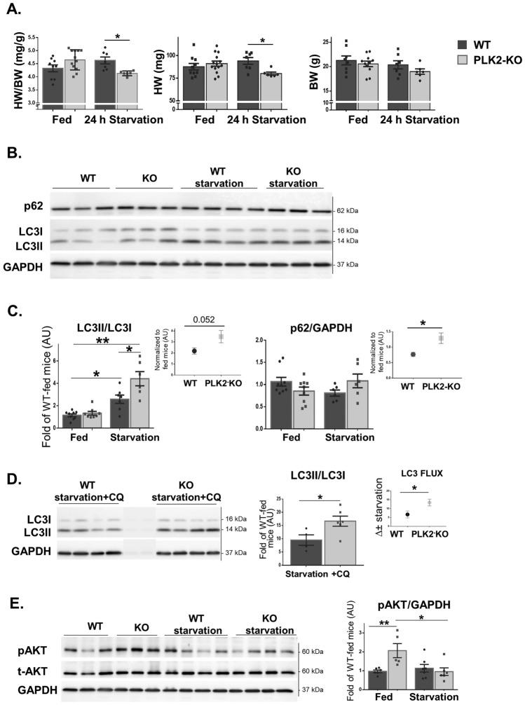 https://cdn.ncbi.nlm.nih.gov/pmc/blobs/012b/11213891/caa0e4678bf6/41598_2024_65670_Fig3_HTML.jpg