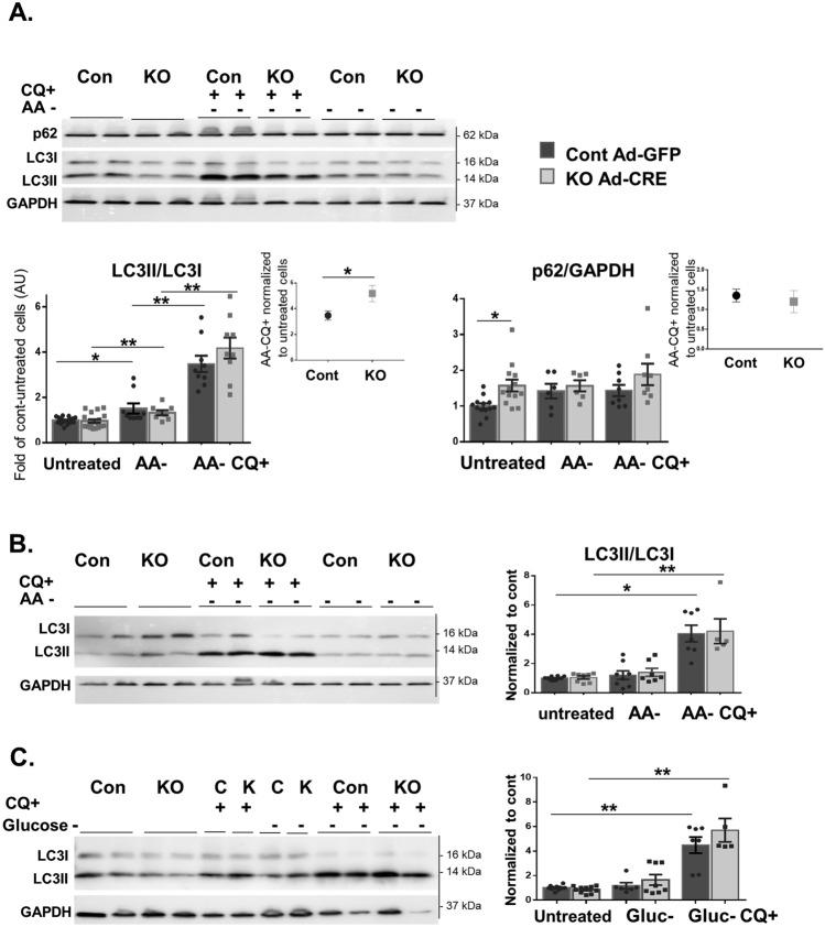 https://cdn.ncbi.nlm.nih.gov/pmc/blobs/012b/11213891/d62c6c4dbc9e/41598_2024_65670_Fig6_HTML.jpg