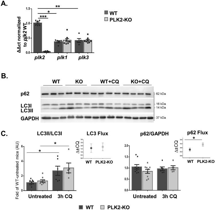 https://cdn.ncbi.nlm.nih.gov/pmc/blobs/012b/11213891/e74f2bcdcb95/41598_2024_65670_Fig1_HTML.jpg