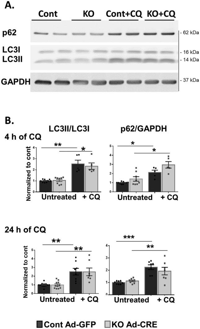 https://cdn.ncbi.nlm.nih.gov/pmc/blobs/012b/11213891/fb089c9bfe58/41598_2024_65670_Fig4_HTML.jpg