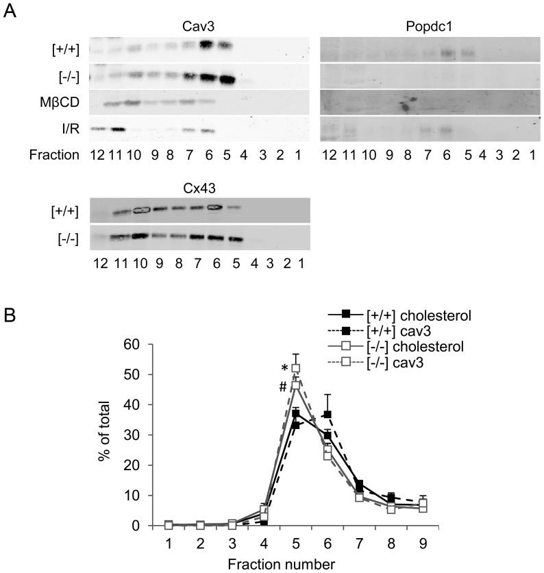 https://cdn.ncbi.nlm.nih.gov/pmc/blobs/012c/3774711/d924e6908d91/pone.0071100.g003.jpg