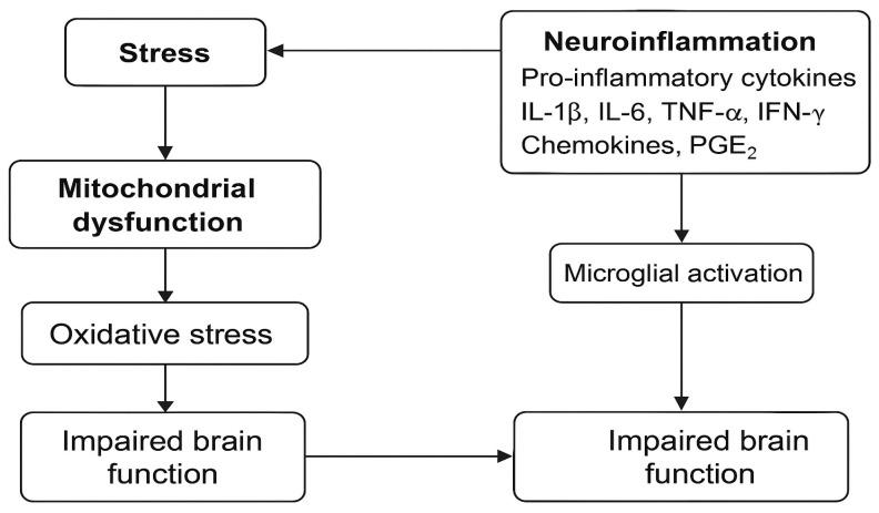 https://cdn.ncbi.nlm.nih.gov/pmc/blobs/012d/12190847/5ad2ed4b35ba/brainsci-15-00602-g002.jpg