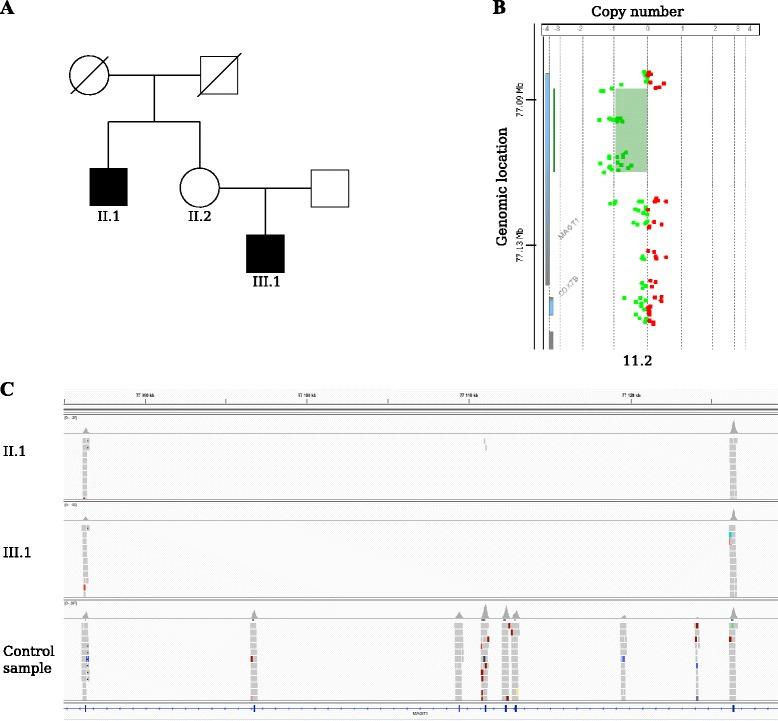 https://cdn.ncbi.nlm.nih.gov/pmc/blobs/012e/4712464/a8b03ab74d6a/12864_2016_2374_Fig4_HTML.jpg