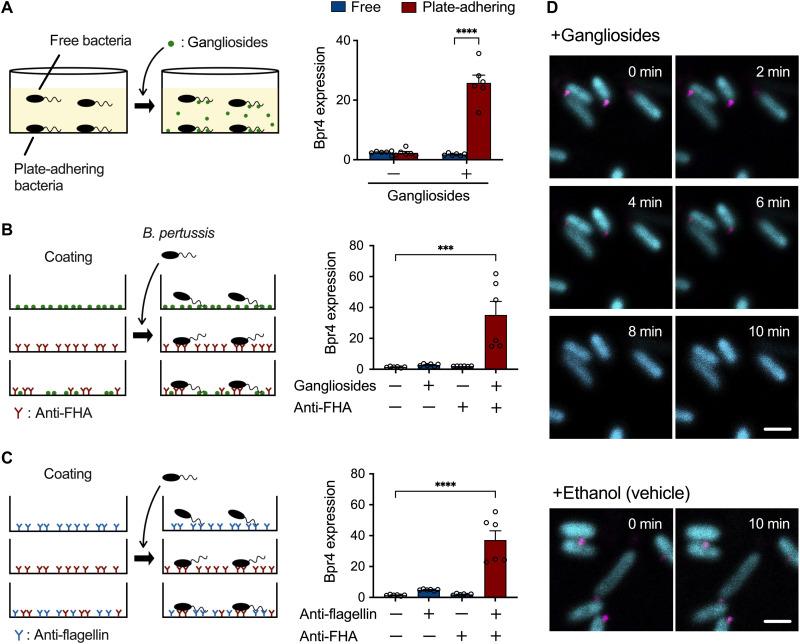 https://cdn.ncbi.nlm.nih.gov/pmc/blobs/012e/9770993/f4622d779e34/sciadv.ade8971-f8.jpg