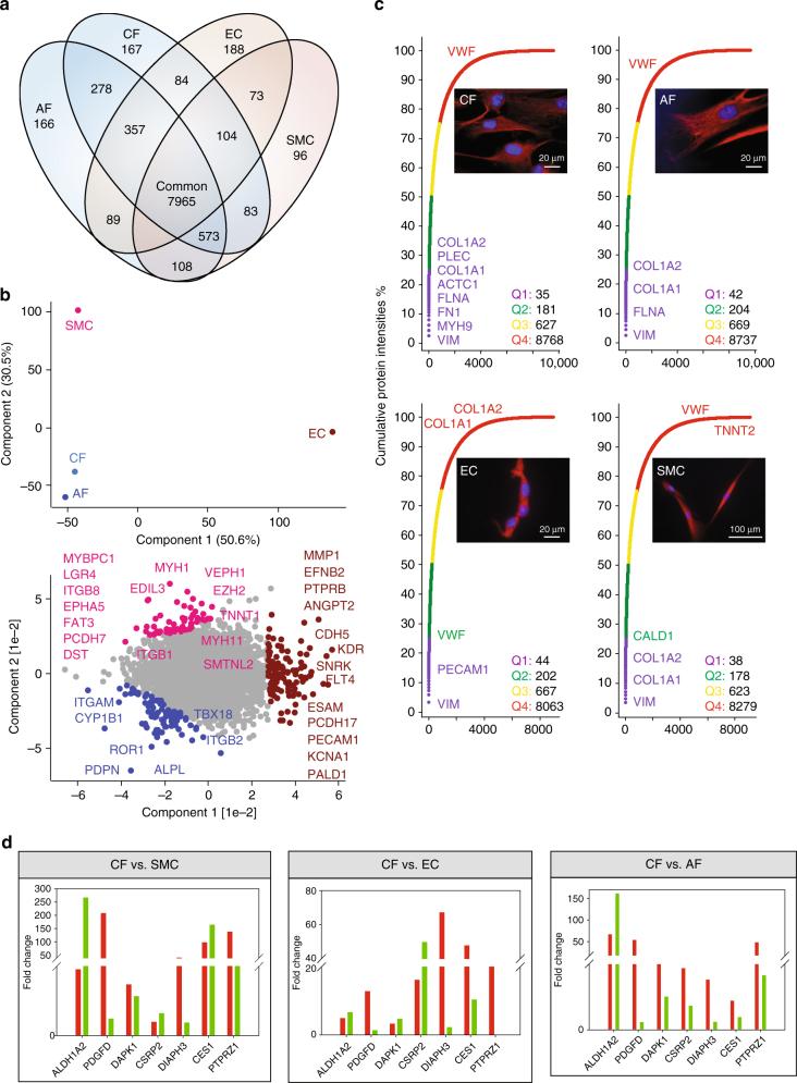 https://cdn.ncbi.nlm.nih.gov/pmc/blobs/012f/5684139/4295b2dadd15/41467_2017_1747_Fig5_HTML.jpg
