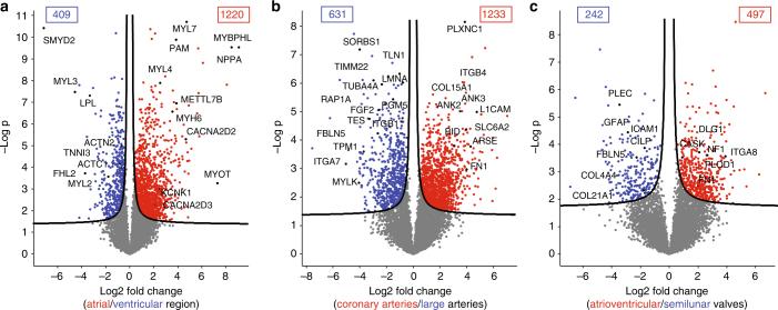 https://cdn.ncbi.nlm.nih.gov/pmc/blobs/012f/5684139/456fc91ad030/41467_2017_1747_Fig4_HTML.jpg